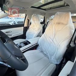 بي واي دي كوين L DM-i